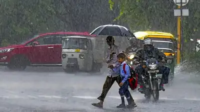 Heavy to very heavy rainfall is likely at isolated places over: The wider industry impact