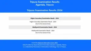 Screengrab of the official TBSE Tripura Board Results webpage: The wider industry impact