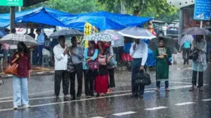 Odisha is expected to see the most intense rainfall, with heavy: The wider industry impact