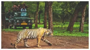 Raksha Bandhan, Janmashtami fuel long-weekend getaways — Long weekend, luxe escapes