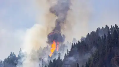 What is being done is a prescribed burn on a forested ridge above a small town, Roslyn, that
