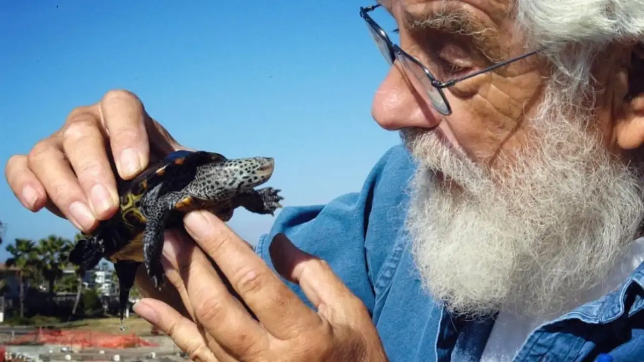 Oceanographer Tony Amos began walking a seven-mile stretch: The wider industry impact