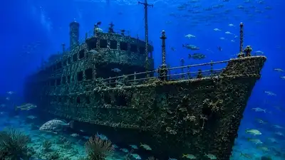 In 2007, Texas sank the retired 473-foot Texas Clipper off South: The wider industry impact