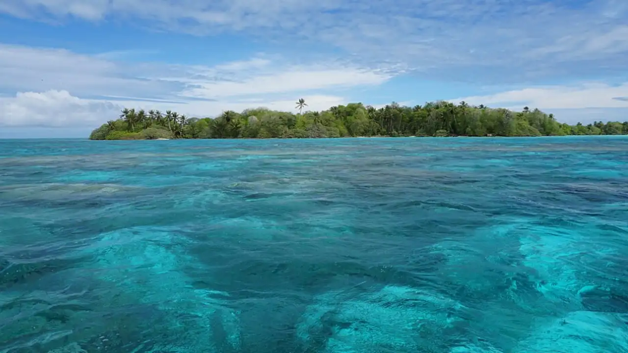 In 1922, a Hawaiian family bought a remote Pacific atoll to harvest: The wider industry impact