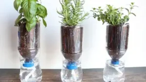 If you have an empty plastic bottle lying around at home, don’t throw it away just yet