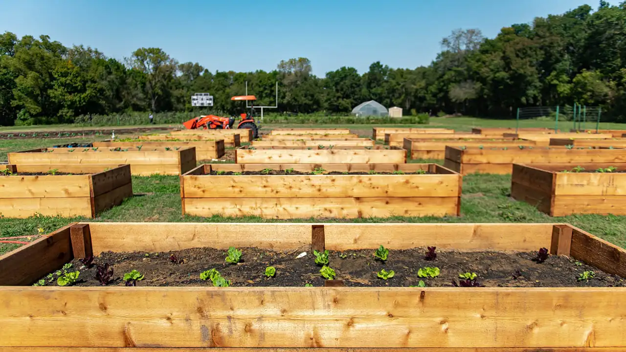 Through fundraising and a partnership with PepsiCo and its Food: The wider industry impact