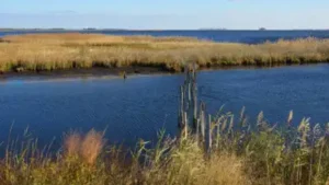 When Martin donated the property in 1954, the goal was no longer simply to preserve land