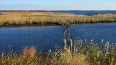 When Martin donated the property in 1954, the goal was no longer simply to preserve land