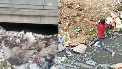 If only dodging drains were an olympic sport: The wider industry impact