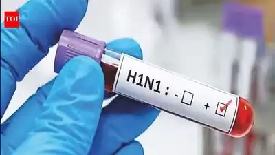 Influenza cases have risen sharply in Delhi this season, with H1N1: The wider industry impact