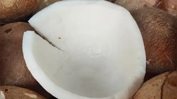 A practical guide to remove coconut flesh from the shell easily: 5 simple tricks without wasting
