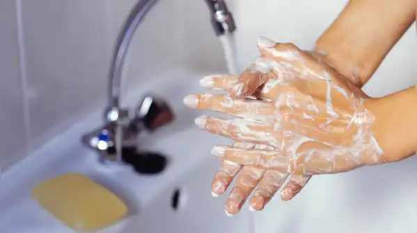 Here’s how to effectively wash citrus fruits before use