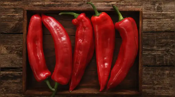 Reheat leftovers to 165°F (74°C) throughout, stirring or rotating food in the microwave