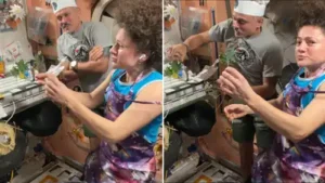 Indian-origin astronaut Anil Menon harvests vegetables in space, cooks with fellow astronaut