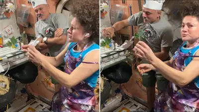 Indian-origin astronaut Anil Menon harvests vegetables in space, cooks with fellow astronaut