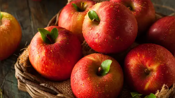 Here are 10 foods that can naturally produce or contain small amounts of alcohol