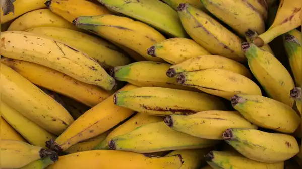 Here are 10 foods that can naturally produce or contain small amounts of alcohol