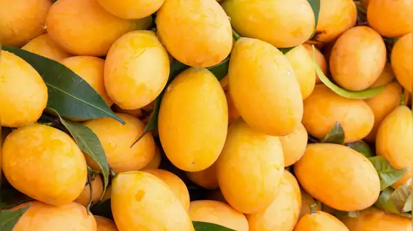 Here are 10 foods that can naturally produce or contain small amounts of alcohol