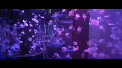 Their story and the building's own transformation from bank vault: The wider industry impact