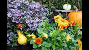 Whether you're working with a grand front-porch display or a single pot by the door, here are