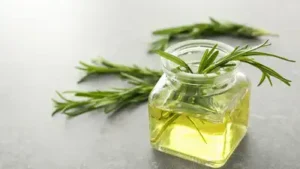 Recently, Rosemary aromatics have been a popular choice among naturalists and fragrance
