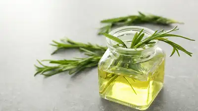 Recently, Rosemary aromatics have been a popular choice among naturalists and fragrance