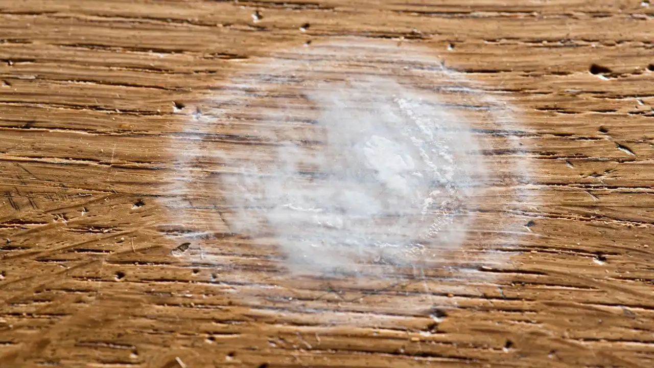 A wooden table can look perfectly polished one day and develop tiny white spots the next
