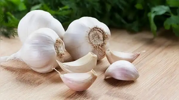 5 Foods you should keep away from the refrigerator for better freshness