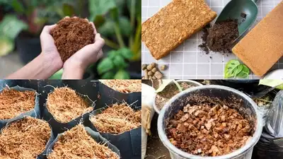 If you are using hanging baskets and other pots which should be moved from time to time, then