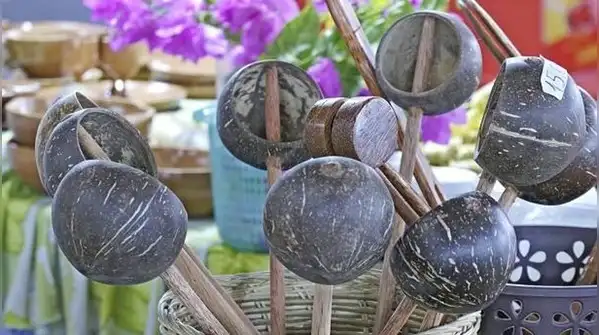 That hard, discarded coconut shell tossed aside after scooping out the flesh and draining