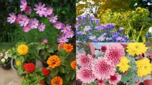 Here are five worth planting right now for blooms that'll carry your garden well into fall