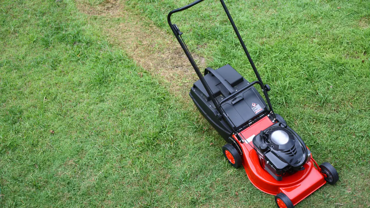A practical guide to what is lawnmower parenting: 5 habits that may be holding your child back
