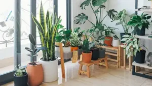Here are some easy DIY ways to transform your home’s entryway Height and contrast do most