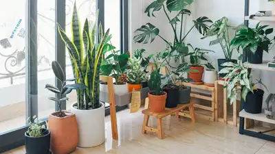 Here are some easy DIY ways to transform your home’s entryway Height and contrast do most