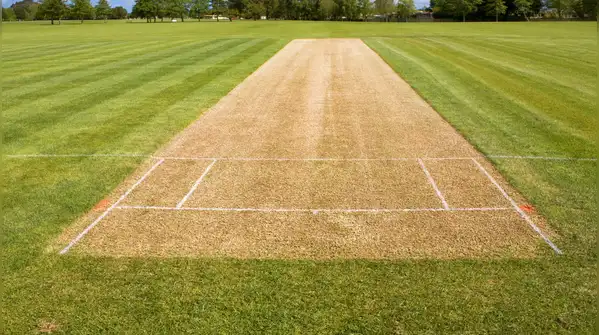Vaibhav Suryavanshi, at just 15 years old, has made headlines in the cricket world by becoming