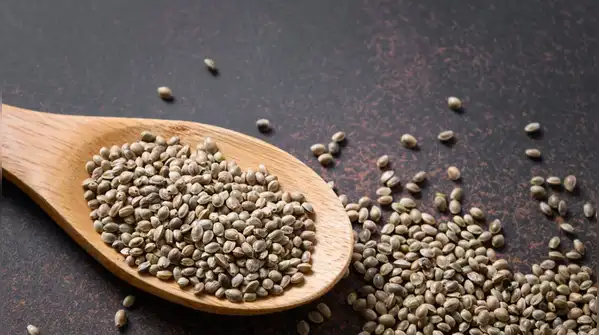 If you notice more hair than usual falling out, the internet usually points you to chia seeds