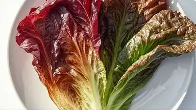 Well, if you too love plants blooming around you, then you must save and reuse these food