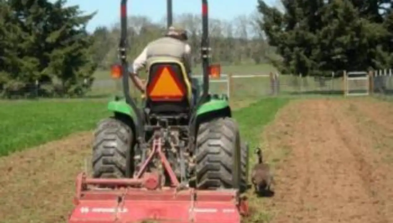 An Oregon farmer grew tomatoes, potatoes, squash, garlic and beans: The wider industry impact