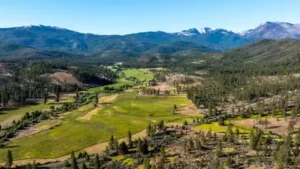 In 1856, one of Northern California's oldest cattle ranches was: The wider industry impact