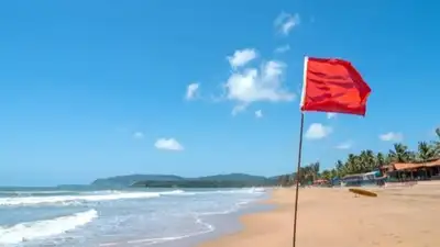 Here's exactly why taking sand off certain beaches can land you in real legal trouble
