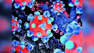 Chennai: Amid a surge in H1N1 cases, the Directorate of Public: The wider industry impact