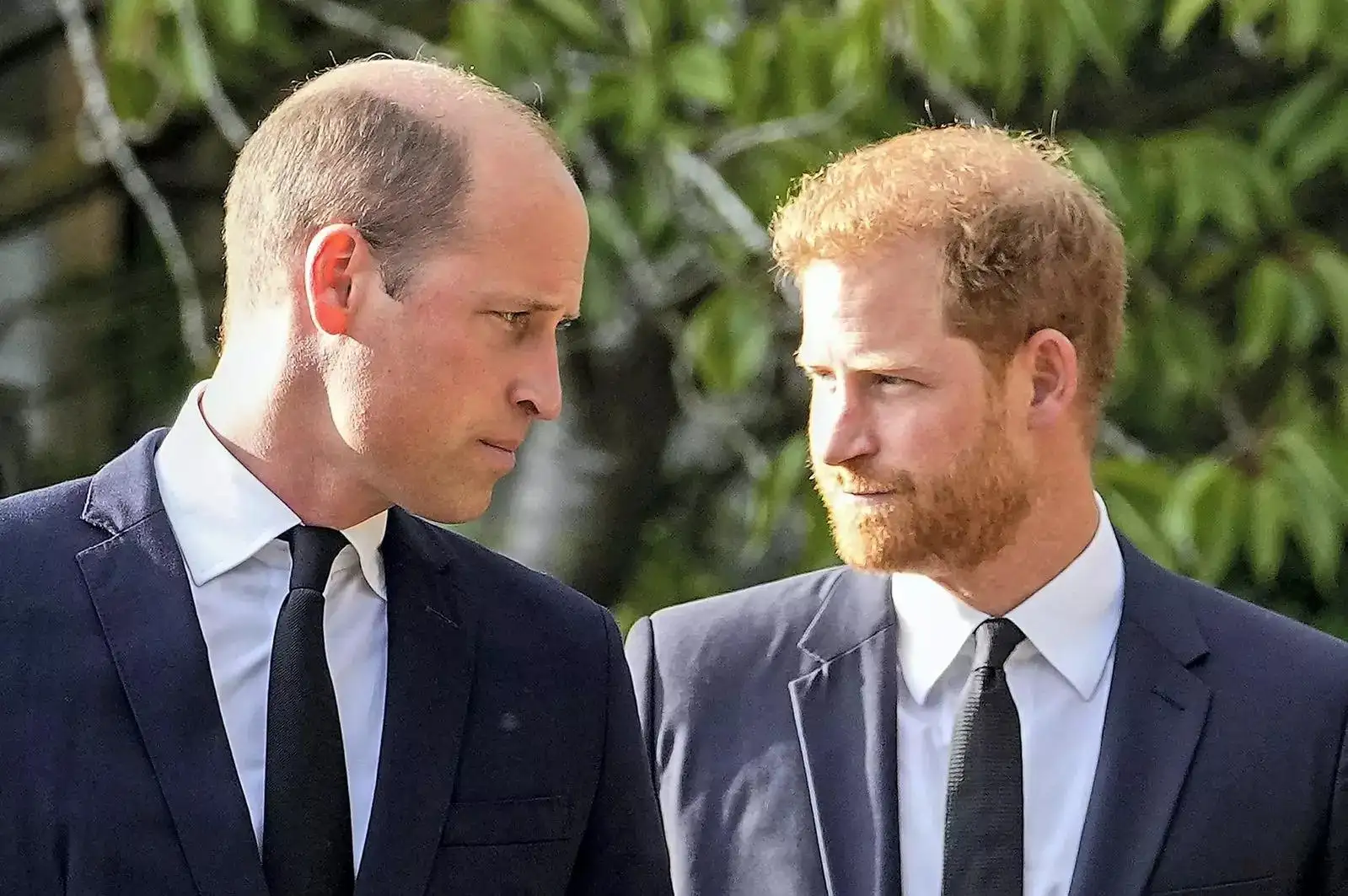 Within less than two years, Harry and Meghan would announce that they were stepping back