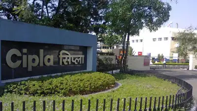 FDA cancels Cipla Pune unit's drug licence over Reactin Plus: The wider industry impact