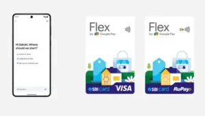 Alongside the AI assistant, the tech giant is expanding its credit: The wider industry impact