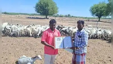 Awareness event held on vanishing indigenous sheep