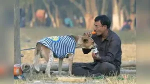 Kolkata: A survey by an animal welfare organisation has endorsed: The wider industry impact