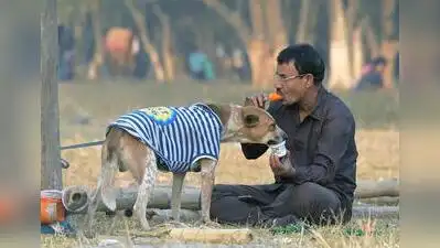 Kolkata: A survey by an animal welfare organisation has endorsed: The wider industry impact