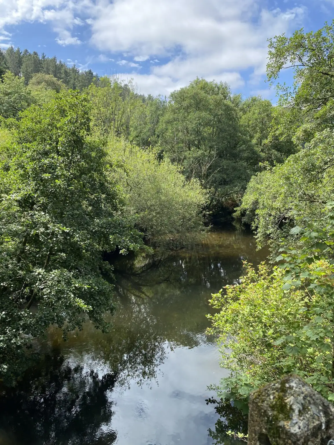 South West Water has been fined £7,867,733 for hundreds of illegal sewage spills across Devon