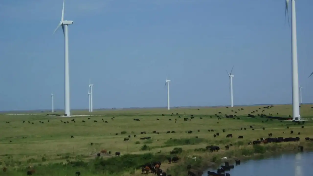 Kansas rancher Peter Ferrell has 50 wind turbines on his Flint Hills: The wider industry impact