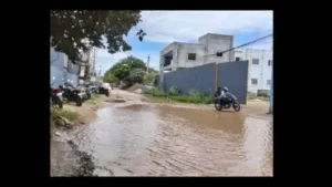 Industrial association seeks urgent repair of damaged roads in Chinnavedampatti